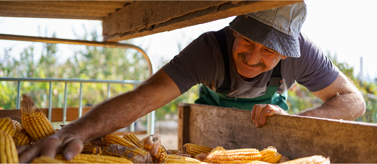 Decoración intersección